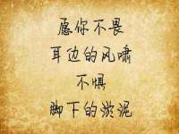 泉州信一企业管理咨询有限公司