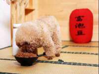 泉州信一企业管理咨询有限公司