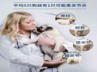 泉州信一企业管理咨询有限公司
