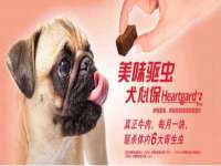泉州信一企业管理咨询有限公司