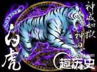 泉州信一企业管理咨询有限公司
