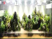 泉州信一企业管理咨询有限公司