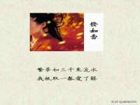 泉州信一企业管理咨询有限公司