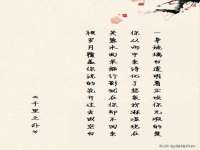泉州信一企业管理咨询有限公司