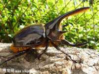 泉州信一企业管理咨询有限公司