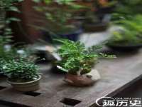 泉州信一企业管理咨询有限公司