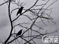 泉州信一企业管理咨询有限公司