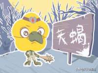 泉州信一企业管理咨询有限公司