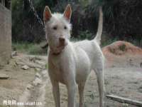 泉州信一企业管理咨询有限公司