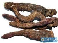 泉州信一企业管理咨询有限公司