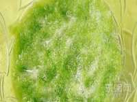 泉州信一企业管理咨询有限公司