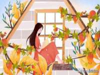 泉州信一企业管理咨询有限公司