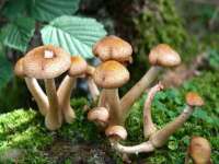 泉州信一企业管理咨询有限公司