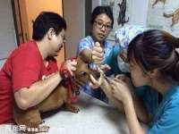 泉州信一企业管理咨询有限公司