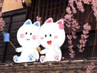 泉州信一企业管理咨询有限公司