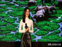 泉州信一企业管理咨询有限公司