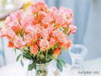 泉州信一企业管理咨询有限公司