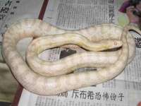 泉州信一企业管理咨询有限公司