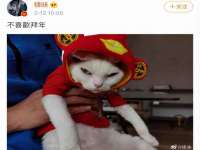 泉州信一企业管理咨询有限公司