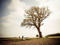 泉州信一企业管理咨询有限公司