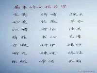 泉州信一企业管理咨询有限公司