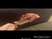 泉州信一企业管理咨询有限公司